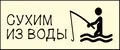 Сухим из воды