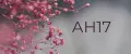 АН17