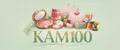 КАМ100
