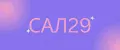 САЛ29
