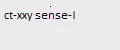 ct-xxy sense-I