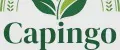 Capingo