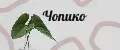 Чопико