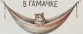 В гамачке