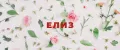 ЕЛИЗ