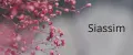 Siassim
