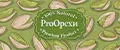 ProОрехи