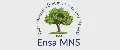 Ensa Mns