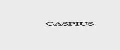 CASPIUS