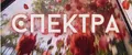 Спектра