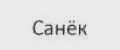Санек