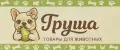 Груша