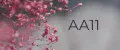 АА11