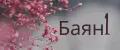 баян1