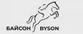 БАЙСОН