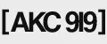 АКС9l9