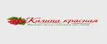 Калина красная