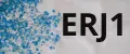 ERJ1