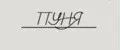 Пуня