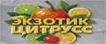 Экзотик Цитрус