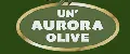 UN AURORA OLIVE