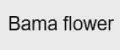 Bаma flower