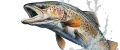 Рыболовный ЭКСПЕРТ