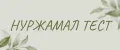 Нуржамал тест