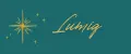 LumiQ