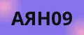 АЯН09