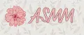 ASMM