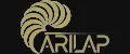 ARTLAP