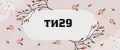 ти29