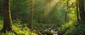 Where Nature Speaks Softly