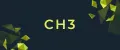 CH3