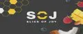 SOJ fit