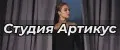 Студия Артикус