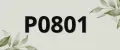 Р0801