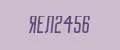 ЯЕЛ2456