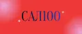 САЛ100