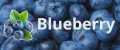 Blueberry1