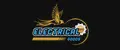 ELECTRICAL goods