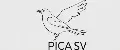 PICA SV