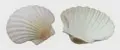 АЛЕмаг