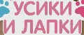 Усики и Лапки