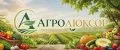 АГРОЛЮКСОР