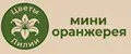 Цветы Лилии