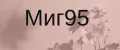 Миг95