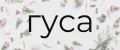 гуса