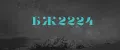 БЖ2224